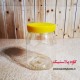 هشت گوش دهانه 72